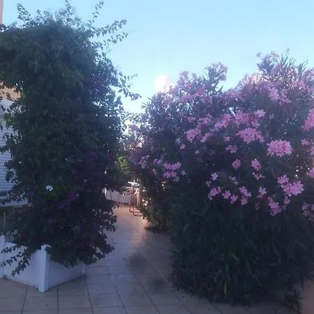 Le Gardenia شقة *